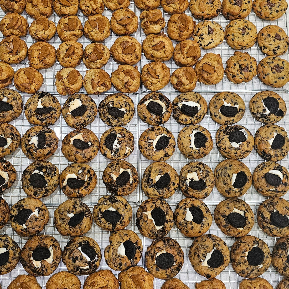 CrunchieMeltz Launches Our NEW Chewy Cookies Collection